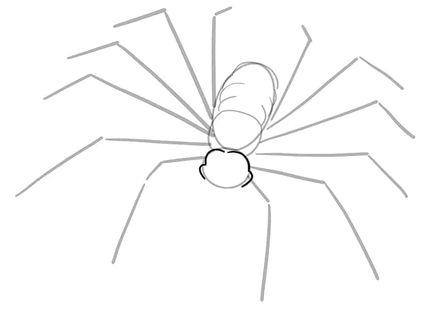 Рисунок паука 05