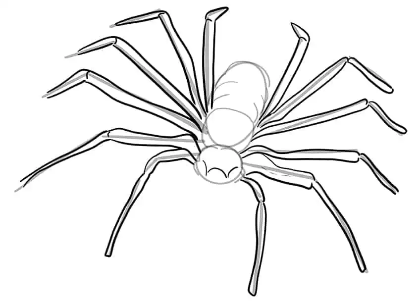Рисунок паука 06