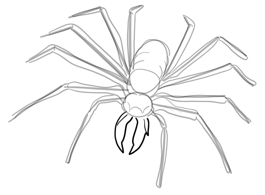 Рисунок паука 07