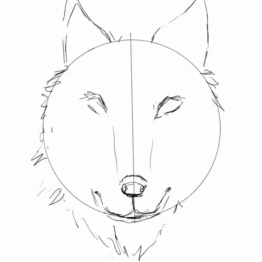 Wolf Face 04
