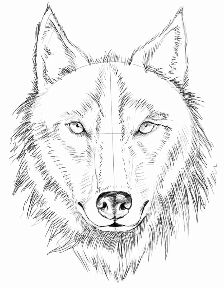 Wolf moon dot and line sketch art Royalty Free Vector Image