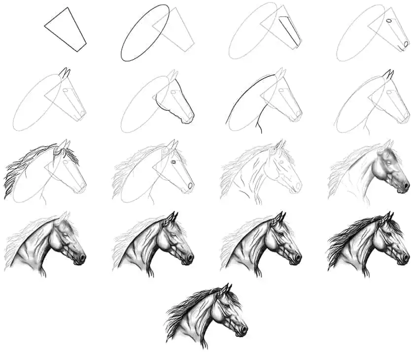 CONCEPTOS DE LA PINTURA EN EL ARTE MODERNO Dibujos realistas en  carboncillo de caballos