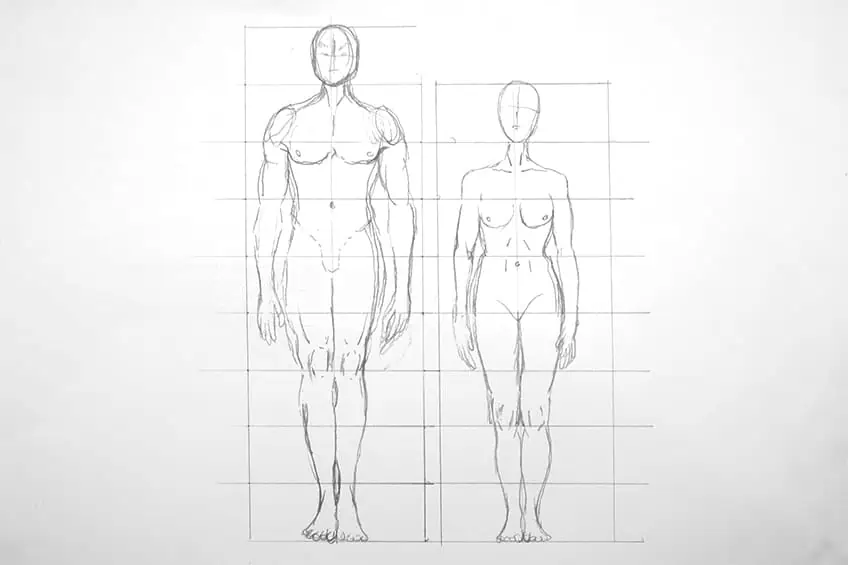 Como dibujar anatomía humana