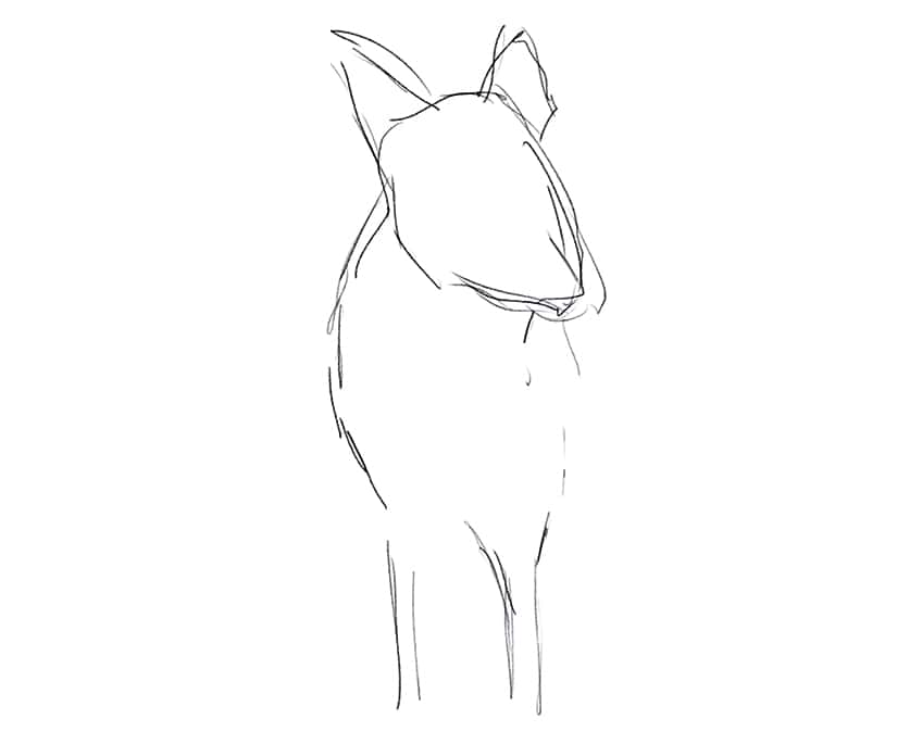 how to draw a fox 01