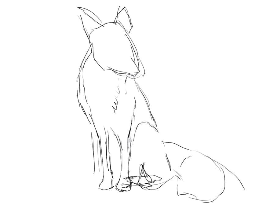 how to draw a fox 02