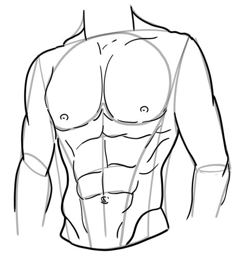 Abs Drawing - Create a Muscular Drawing of Abs