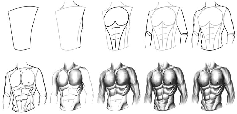 Abs Drawing Create a Muscular Drawing of Abs