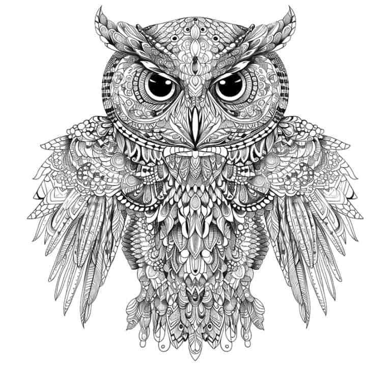  Foto zu Mandala Tiere zum Ausmalen - Faszinierende Malvorlagen 