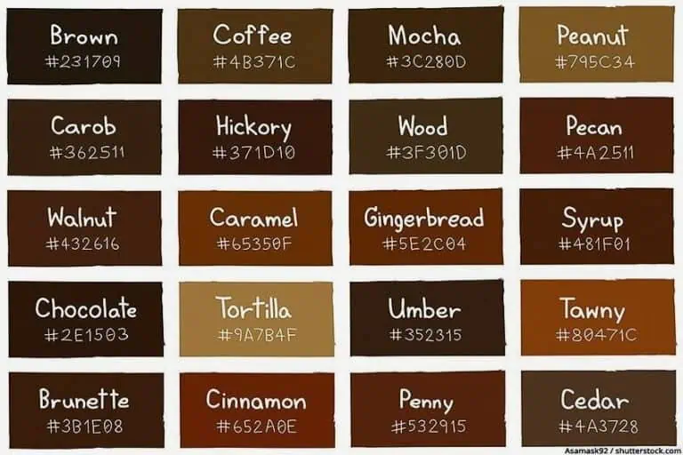 Tonos de cafe – Descubre la paleta de colores marrones