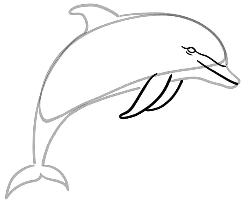 Cómo dibujar un delfín 04