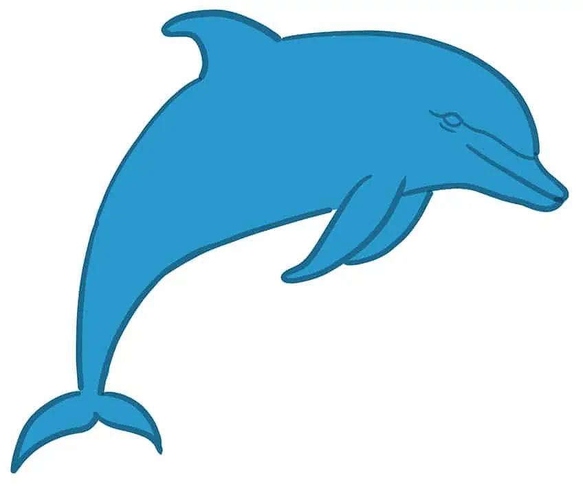 Cómo dibujar un delfín 05