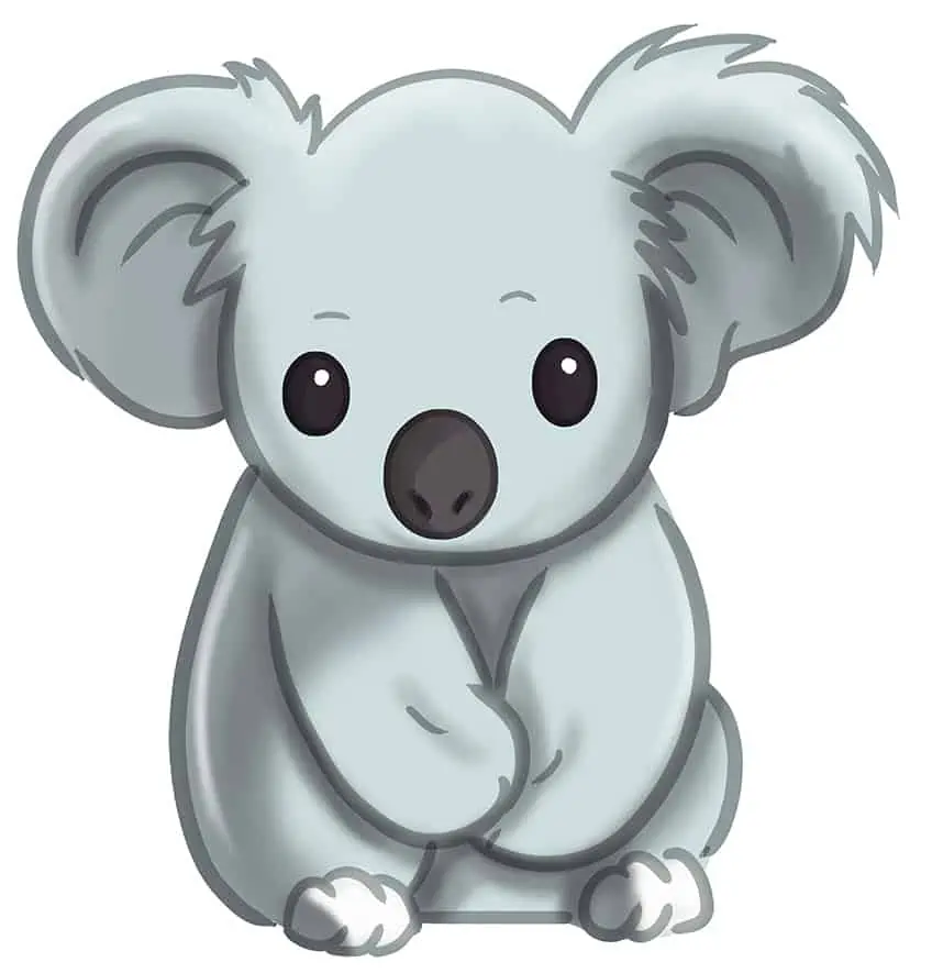 How to Draw a Koala 14