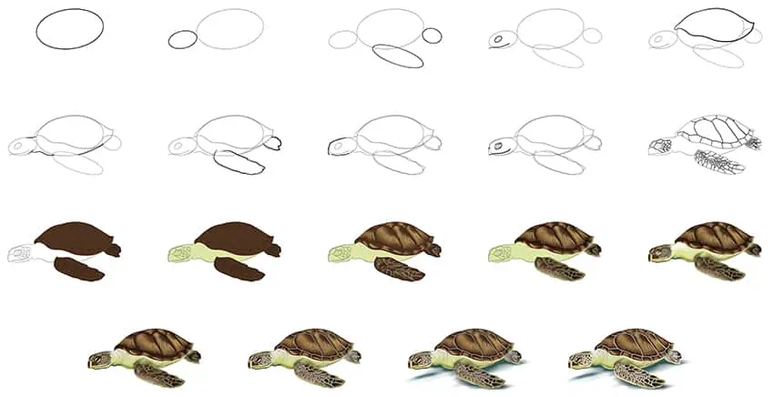 Как нарисовать коллаж с морской черепахой