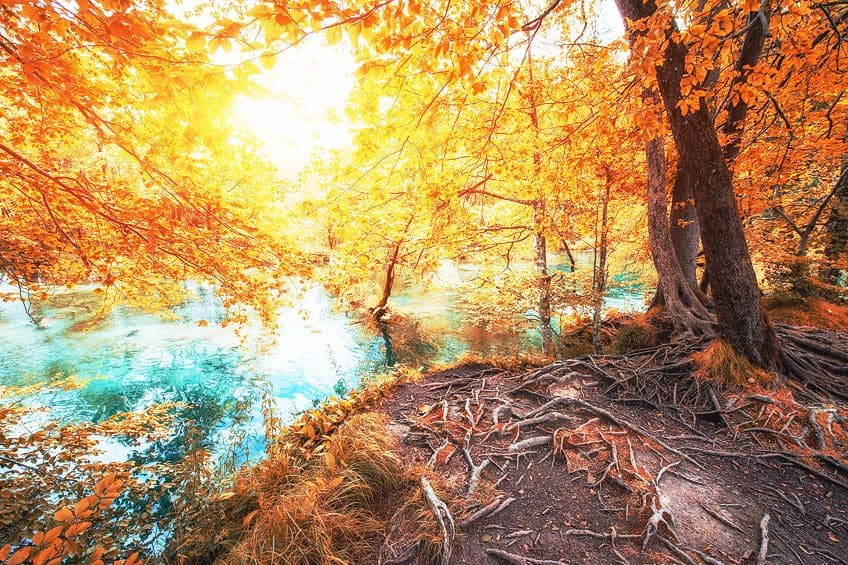 Цвета интерьера, сочетающиеся с бежевым