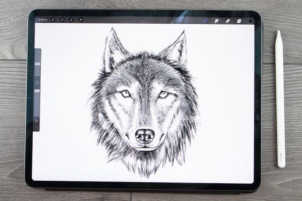 Como dibujar un lobo - Guía paso a paso