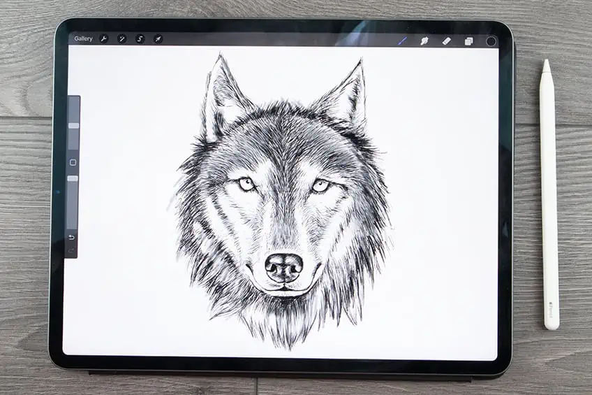 cómo dibujar un lobo