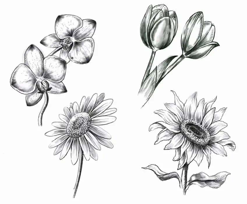 como dibujar una flor realista