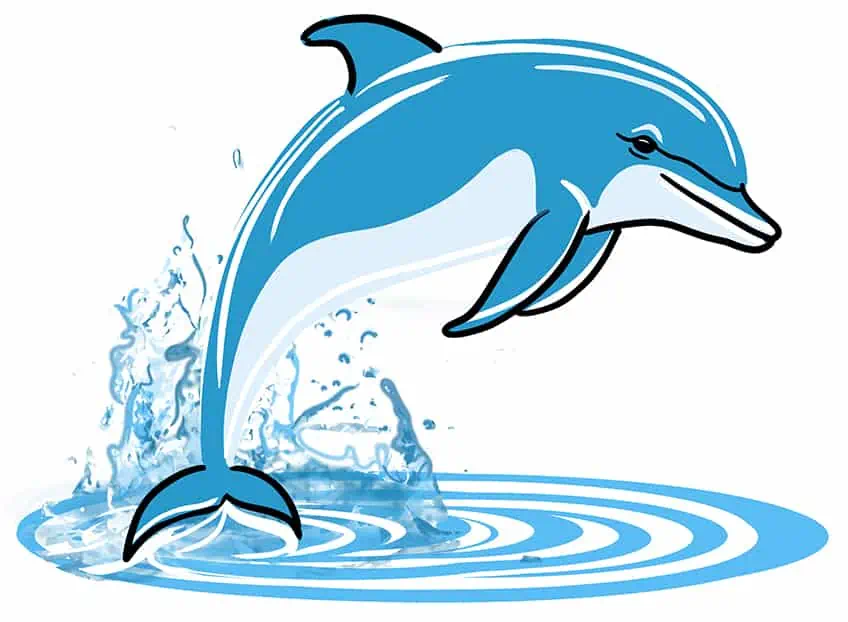 delfin dibujo