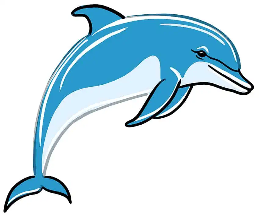 delfin zeichnen 08