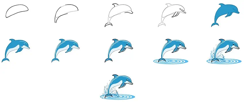 dessin de dauphin