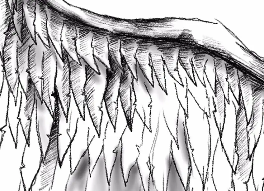 dibujos de alas