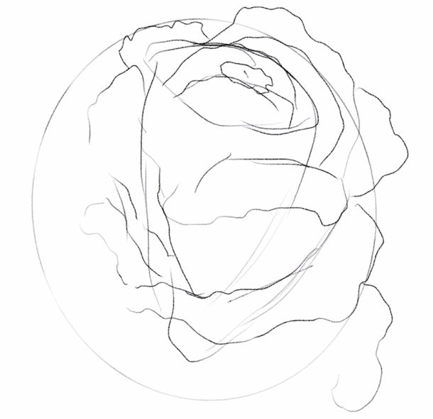  Rose zeichnen - Male eine realistische Rosenzeichnung 