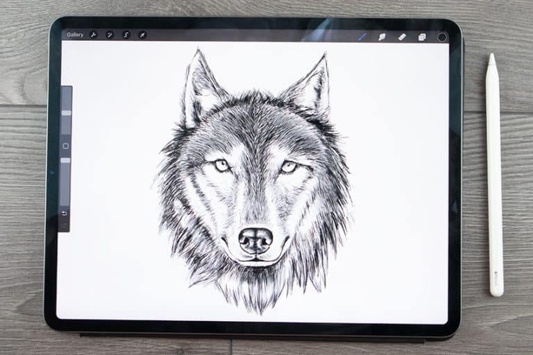 wolf-zeichnen