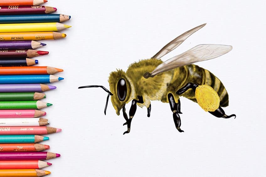 Простые идеи для рисования пчелы