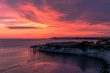 Fuchsia Color - Learn About the Hues of the Fuchsia Color