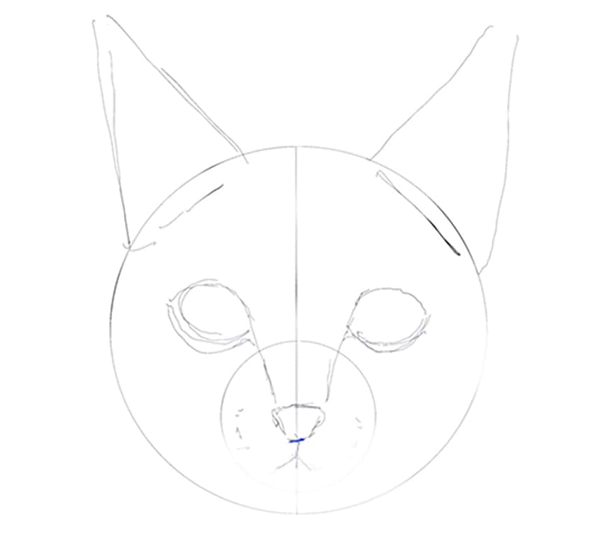 how to draw a cat 05