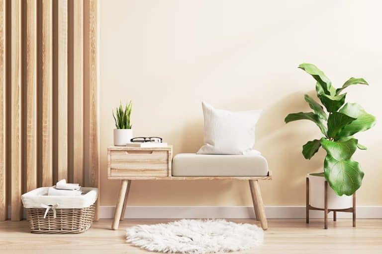 What Color Goes With Cream? Pairing Colors With Confidence