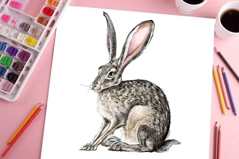 Bunny Drawing – How to Draw a Bunny Step by Step