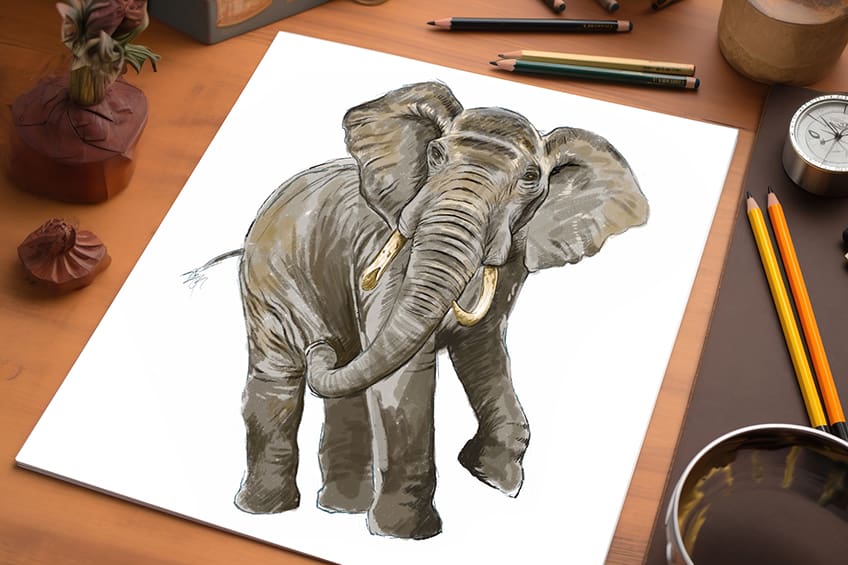 How to Draw an Elephant Face - Easy Drawing Art-saigonsouth.com.vn