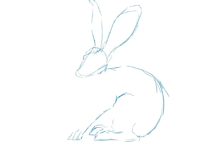how to draw a bunny easy 03