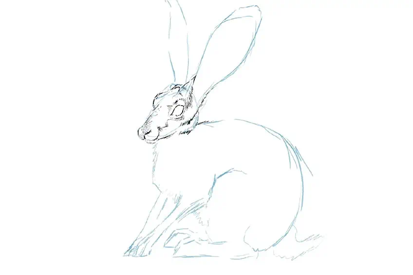 cómo dibujar un conejo fácil 05