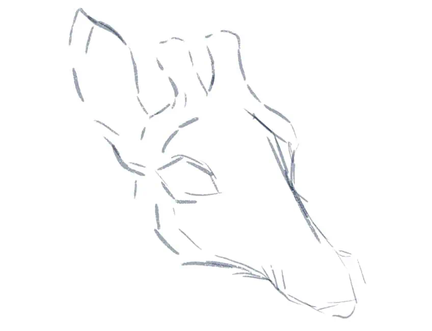 cómo dibujar una jirafa 01