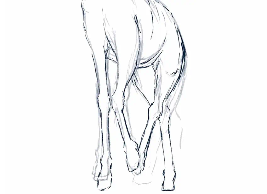 cómo dibujar una jirafa 09