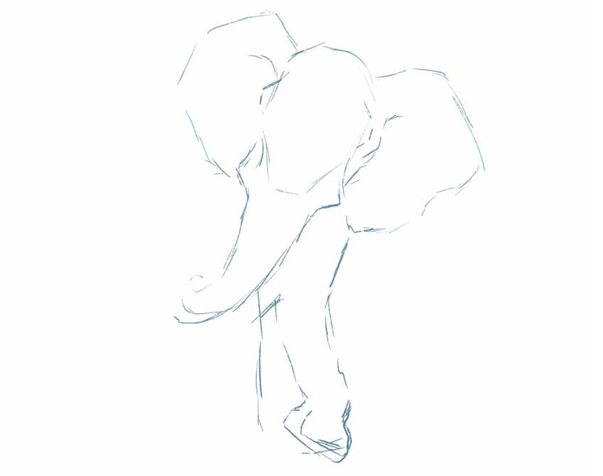 how to draw an elephant 03
