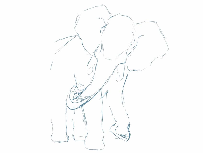 how to draw an elephant 04