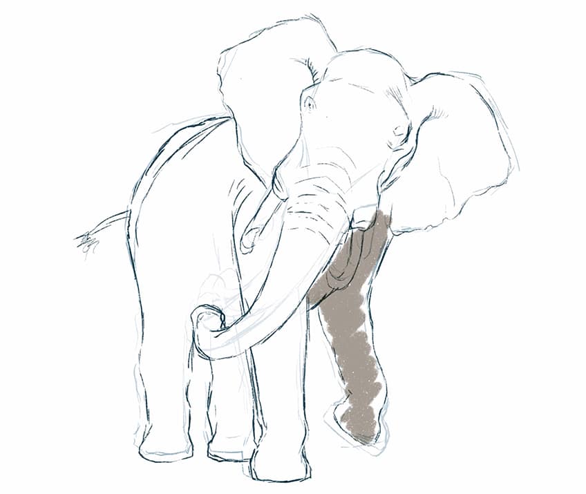 how to draw an elephant 13