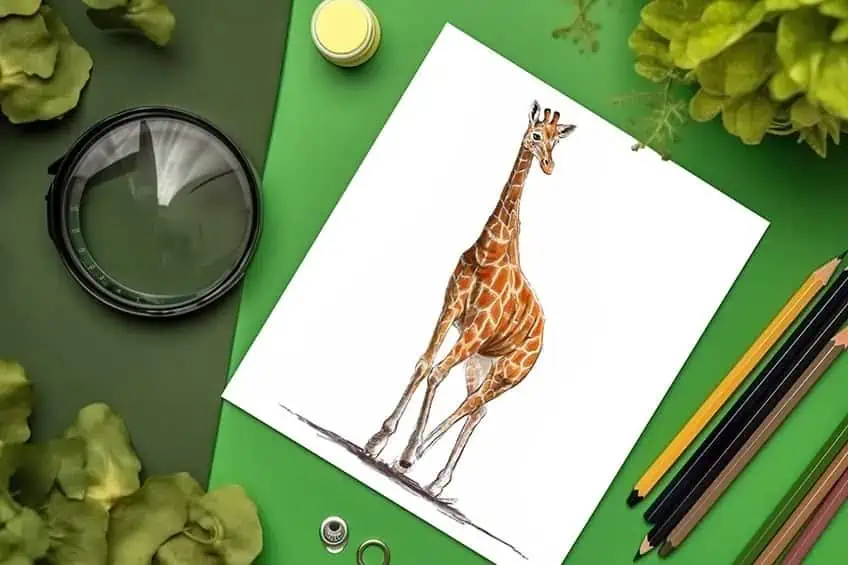 Cómo dibujar una jirafa