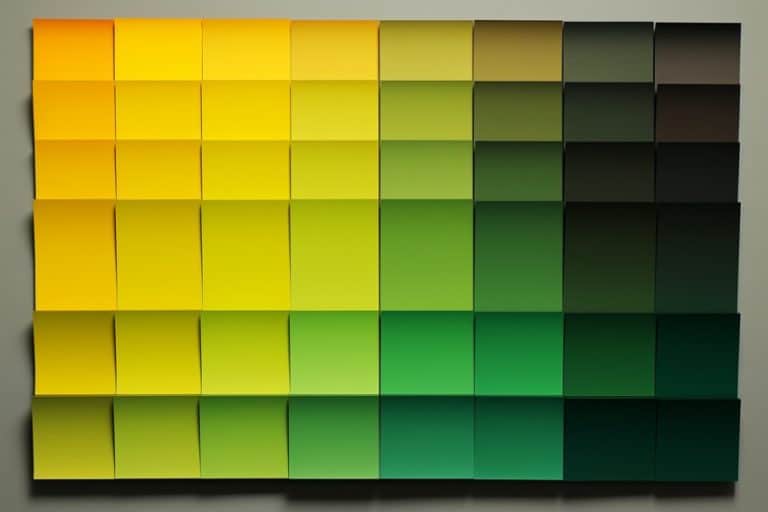 What Color Does Black and Yellow Make? - Discover Olive Green