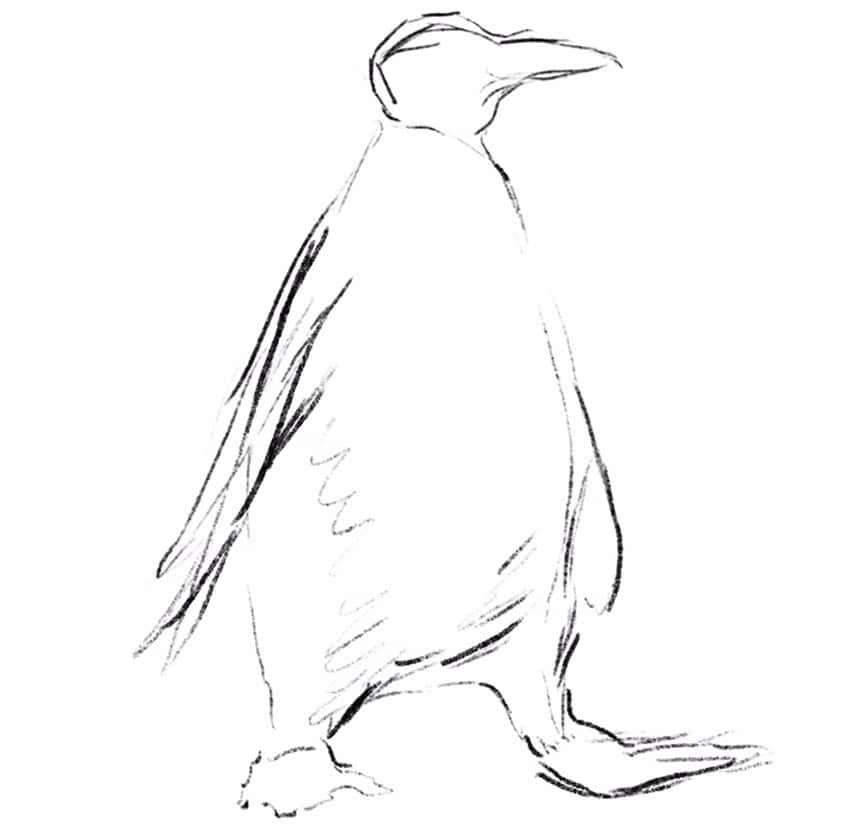 how to draw a penguin 03