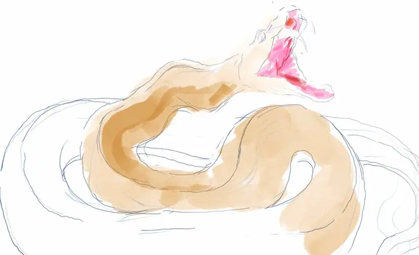 how to draw a snake 09