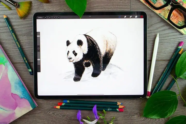 Panda Drawing – A Realistic Step-by-Step Drawing Tutorial