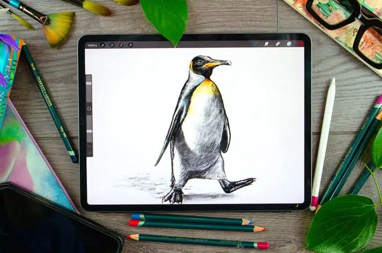 penguin drawing