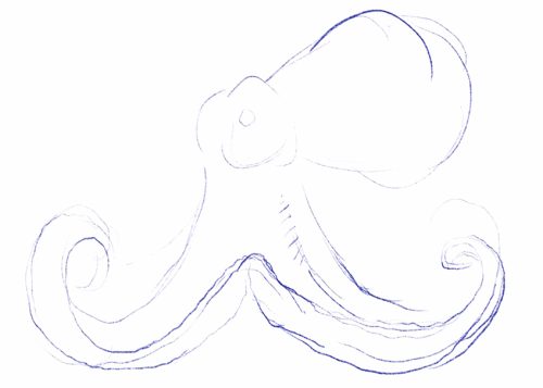 Oktopus Zeichnen Einfache Anleitung Mit Arbeitsschritten oktopus-zeichnen-einfache-anleitung-mit-arbeitsschritten