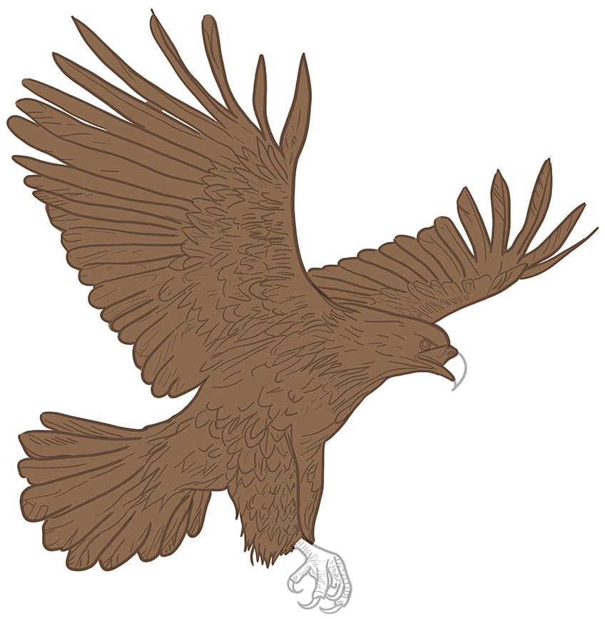 eagle drawing 10