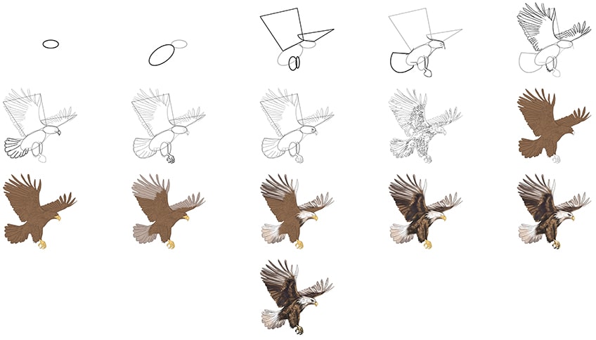 how to draw an eagle