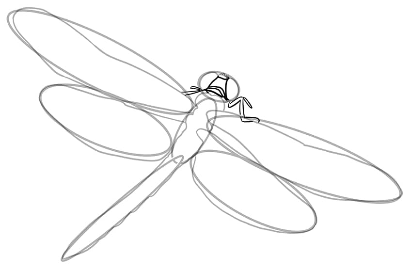 dragonfly drawing 05